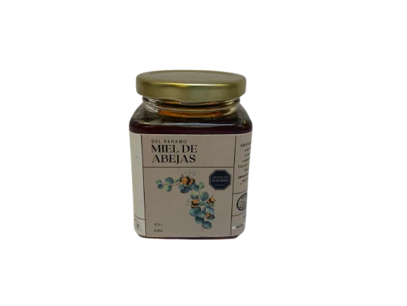 Miel de Abejas del Paramo 290 gr